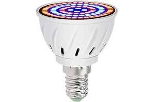 519YrINkQGL._AC_UL320_