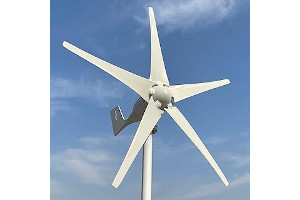 51RzRjFLDhL._AC_UL320_