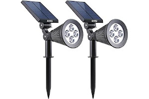 51Wwp9QBq8L._AC_UL320_