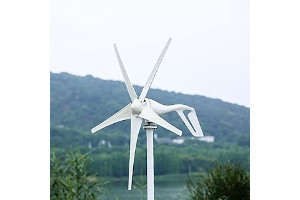 Kit Solar Eólico Vivienda Habitual 51hcP5LaEiS._AC_UL320_