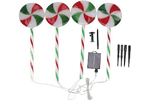 61Zjruv8IzL._AC_UL320_