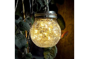 61tjmDU1gFL._AC_UL320_