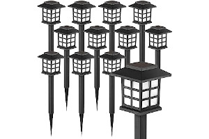 71DKH7hNL7L._AC_UL320_