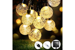 71Nb8Dh76wL._AC_UL320_